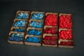 War_of_the_rings_12.jpg